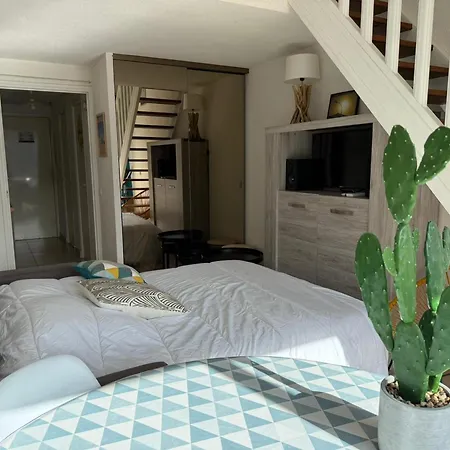 : Duplex 2 étoiles, 4 Pers, Garage - Fr-1-309-276 * Banyuls-sur-Mer
