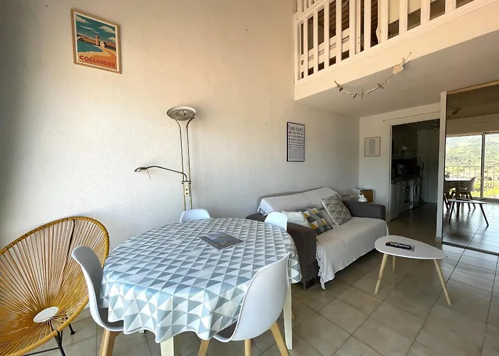 Banyuls-sur-mer, Duplex Avec Garage - Fr-1-309-276 * Banyuls-sur-Mer