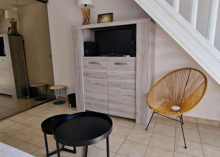 Banyuls-sur-mer, Duplex Avec Garage - Fr-1-309-276 *