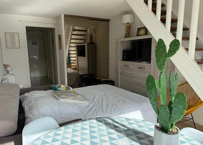 Banyuls-sur-mer, Duplex Avec Garage - Fr-1-309-276 * Banyuls-sur-Mer
