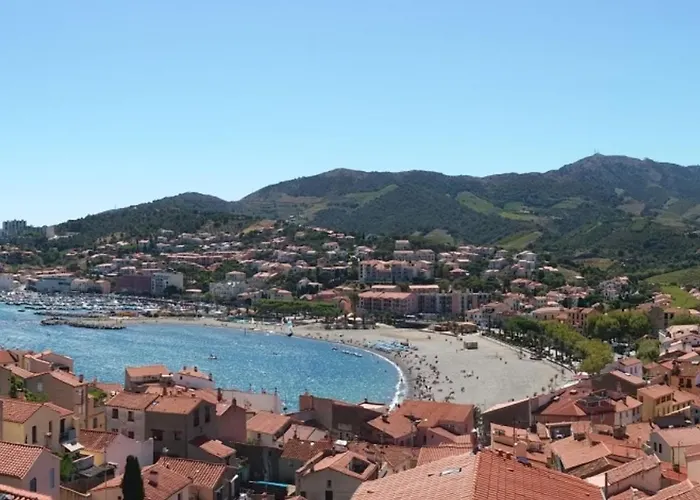 Banyuls-sur-mer, Duplex Avec Garage - Fr-1-309-276